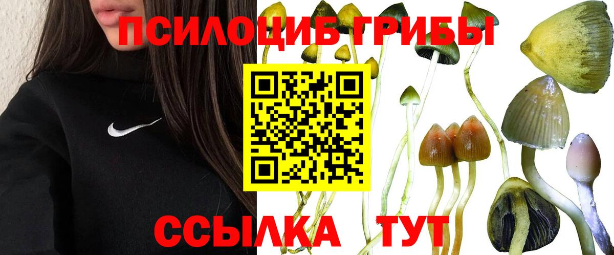 Аргун  Галлюциногенные грибы MAGIC MUSHROOMS  Вход с VPN 